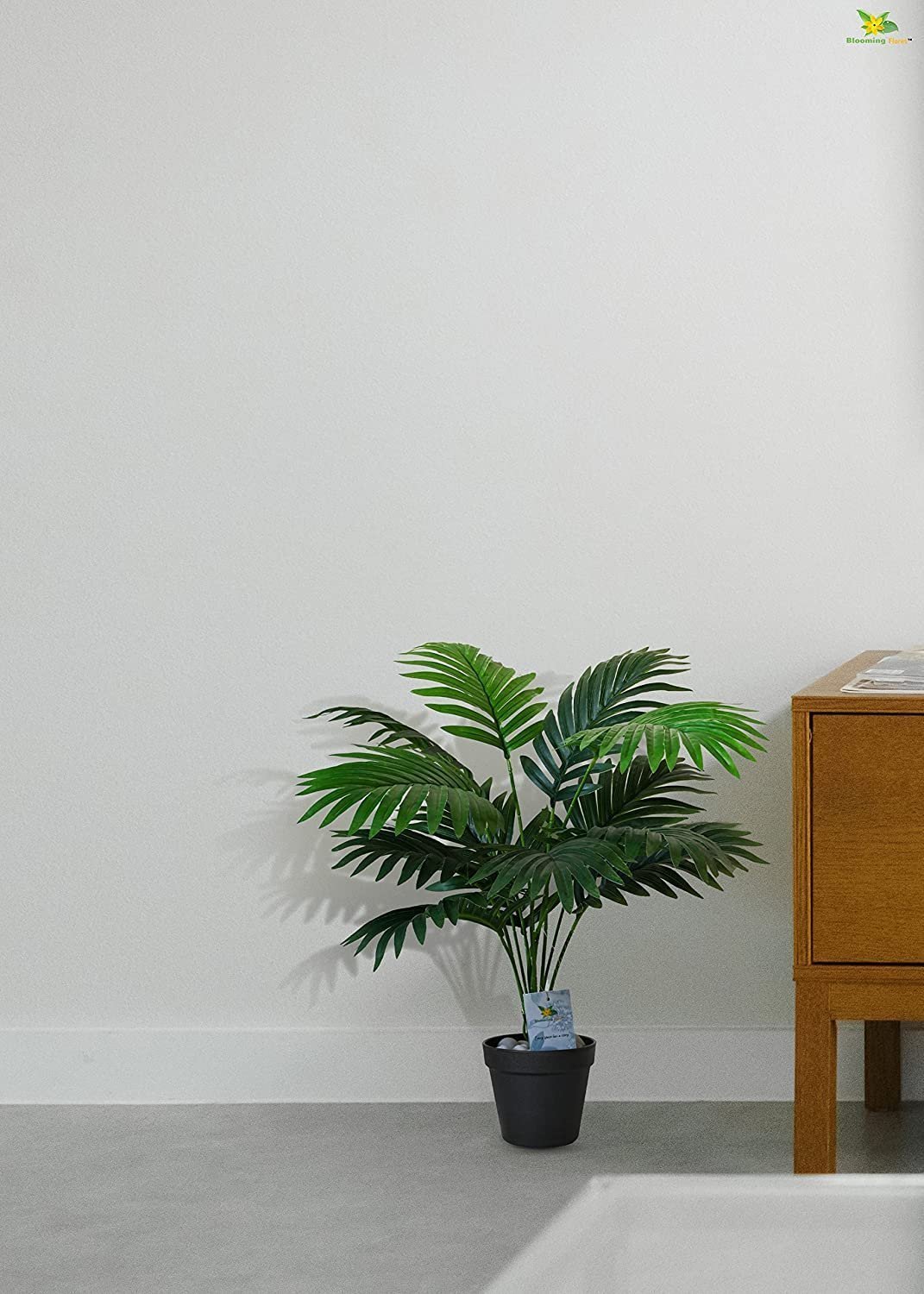 819VAtCCTL._SL1500_.jpg